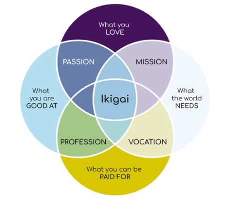  「Ikigai：The Japanese Secret to a Long and Happy Life」-  心と体の調和が叶う、人生の羅針盤！